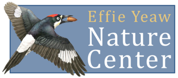 Effie Yeaw Nature Center